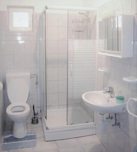 a bathroom with a shower and a toilet and a sink at Apartmani Marko in Lun
