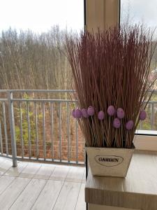 Gallery image of Апартаменты LUXURY LAVANDER in Polyana