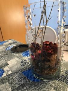 a glass vase with some seaweeds in it on a table at Hotel Degli Amici in Sant'Egidio del Monte Albino