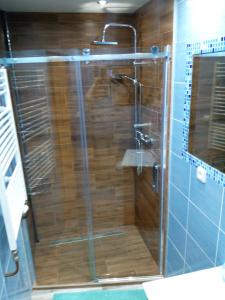 a shower with a glass door in a bathroom at Apartmán Albreit 1 in Jáchymov