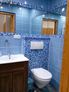 Baño de azulejos azules con aseo y lavamanos en Apartmán Albreit 1, en Jáchymov
