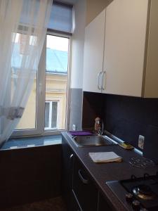 eine Küche mit einem Waschbecken und einem Fenster in der Unterkunft Апартаменты в центре города in Czernowitz
