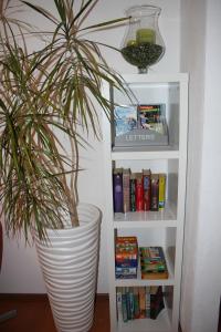 een plant in een witte pot naast een boekenplank bij Gästehaus Nikita in Rust