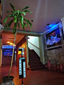 a palm tree in front of a building with a tv at Hotel Brisas Marinas in San Clemente del Tuyú