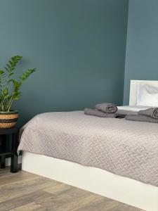 een slaapkamer met een bed en een blauwe muur bij City Ocean apartment in Daugavpils