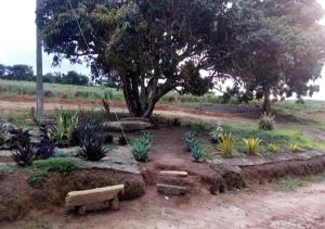 un jardín con bancos y un árbol en un campo en Pousada Fazenda das Bicas, en Andrelândia 67 fotos más