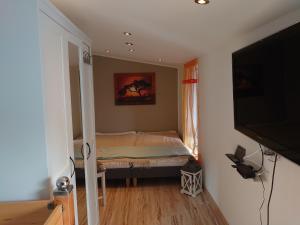 ein Schlafzimmer mit einem Bett und einem Flachbildfernseher in der Unterkunft Kleine gemütliche Ferienwohnung im Tiny House Stil Lutherstadt Wittenberg in Lutherstadt Wittenberg