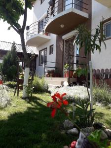 una casa con un jardín delante de ella en Casa Benny, en Costinesti