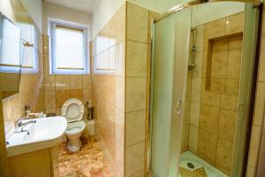 La salle de bains est pourvue de toilettes, d'un lavabo et d'une douche. dans l'établissement Resia, à Krynica-Wieś