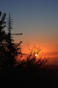 Billede fra billedgalleriet på Soha Village Resort i Fālūghā