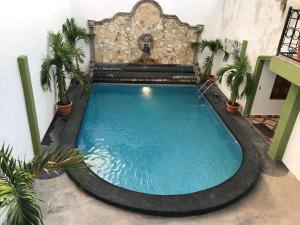 a swimming pool in a room with plants at Hotel Torogoz in Granada