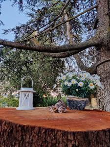 Gallery image of Relais Felciaino B&B in Bolgheri