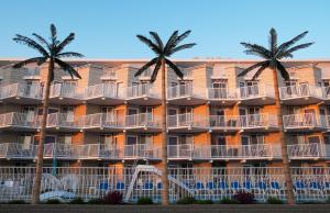 a building with palm trees in front of it at Shalimar Resort in Wildwood Crest