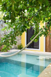 a tree with a hose in front of a swimming pool at Hotel Boutique Casa Hipil in Valladolid