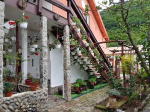 a house with potted plants on the stairs at Pensiunea Casa montana in Sasca Montană