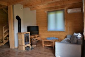 a living room with a tv and a couch and a stove at DOMY POD WIERZBĄ - KASINA WIELKA in Kasina Wielka