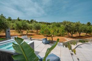 Vonkajšia záhrada v ubytovaní Orange Tree