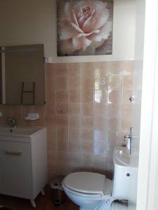 a bathroom with a white toilet and a sink at Gite 2 personnes in Plonévez-Porzay