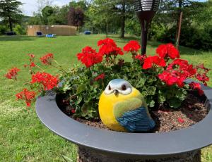 una estatua de pájaro sentada en una maceta de flores con flores rojas en ilgiardinoincantato en Grizzana