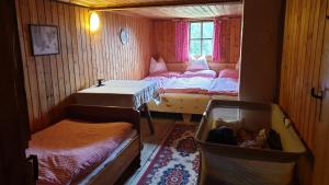 ein kleines Zimmer mit zwei Betten und einem Baby in einem Kinderbett in der Unterkunft Almhütte Prem 1 in Ramingstein