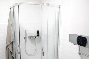 a shower with a glass door in a bathroom at Garsoniéra Sedlecká v centru Kutné Hory in Kutná Hora