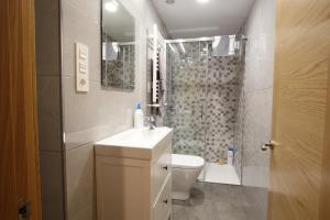 ein Bad mit einem WC, einem Waschbecken und einer Dusche in der Unterkunft Apartamento Oviedo San Melchor in Oviedo