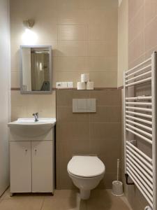 a bathroom with a toilet and a sink and a mirror at Penzion U Martina in Mariánské Lázně +23 photos