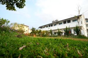 un edificio frente a un campo de césped verde en Bo Bo Mi B&B, en Puli