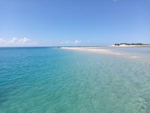 a large body of water with a sandy beach at Dolphin Dhow Beach Safaris in Vilanculos