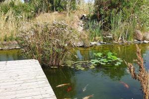 un estanque con un puente de madera y algunas cometas en el agua en Roby's house, vivi la vacanza in relax (2L) en Marrùbiu
