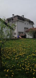 un campo de flores frente a una casa en Guesthouse Jelic, en Teslić