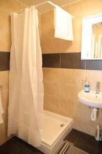 bagno con tenda per la doccia e lavandino di Apartman Rastko a Nova Varoš
