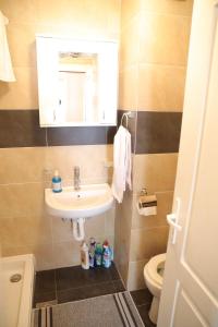 bagno con lavandino, specchio e servizi igienici di Apartman Rastko a Nova Varoš