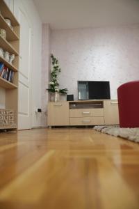 TV o dispositivi per l'intrattenimento presso Apartman Rastko