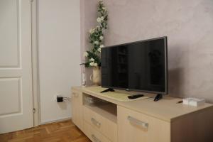 TV o dispositivi per l'intrattenimento presso Apartman Rastko
