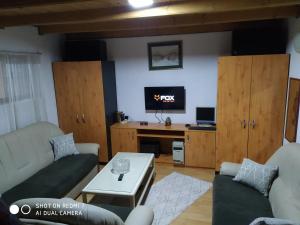 salon z 2 kanapami i telewizorem w obiekcie Perucac Jezero w mieście Perućac