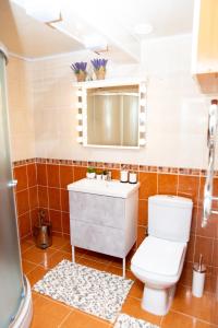 a bathroom with a toilet and a sink and a mirror at Žvejo kiemelis in Šilutė