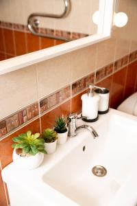 a bathroom sink with potted plants on it at Žvejo kiemelis in Šilutė