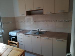 Kuchyň nebo kuchyňský kout v ubytování Alex-Branka apartments