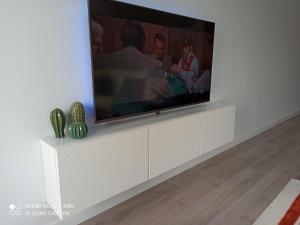 Televízia a/alebo spoločenská miestnosť v ubytovaní Teatinos Suite