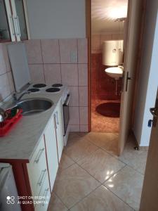 A kitchen or kitchenette at Apartments Petrović