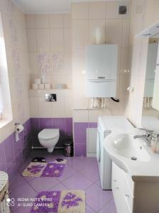 Vonios kambarys apgyvendinimo įstaigoje Apartament Bieszczady