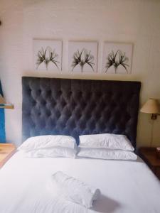 a bedroom with a large bed with a blue headboard at San Lameer Villa, Beach Estate, South Coast KZN in Marina Beach