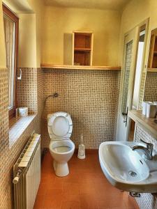 a bathroom with a toilet and a sink at Predel House in Log pod Mangartom