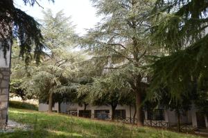 Zahrada ubytování B&B Europa
