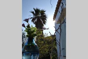 Сад в Getaway house Gundula