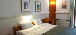 Cama ou camas em um quarto em Swiss Eviniz Hotel