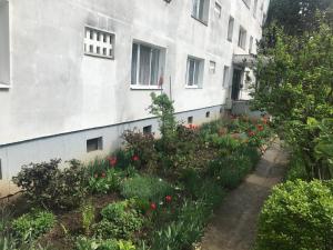 a garden in front of a building with red flowers at Apartament Colina in Cluj-Napoca