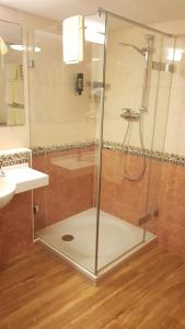 Ένα μπάνιο στο Villa Viktoria 1 - Apartments - City center +27 φωτογραφίες