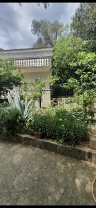 a house with a lot of plants in front of it at Becici rooms in Becici